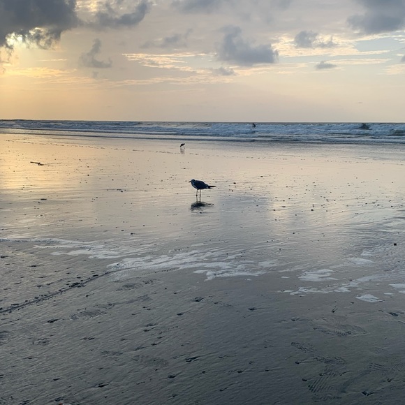 Yellow and white knit top! - Picture 9 of 13